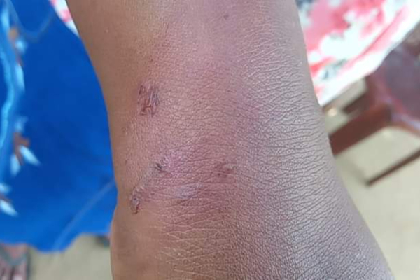 சுன்னாகத்தில் அதிகாலையில் இடம்பெற்ற கோரம்! வடிவேலுவின் பாணியில் சிக்கிய கொள்ளையர்கள் | Robbery Incident In Chunnakam