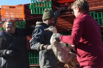 வரலாறு காணாத அளவில் 16 மில்லியன் பறவைகளைக் கொன்றுள்ள பிரான்ஸ்: காரணம் இதுதான்...