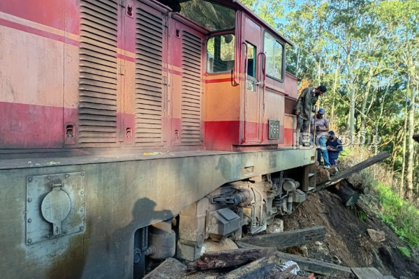 பதுளைக்கு சென்ற தொடருந்து மீது சரிந்து விழுந்த பாறைகள் | Ticket Booking Train Warning Tourist