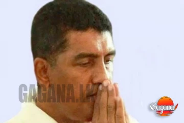 ජොන්ස්ටන්ගේ පැටික්කිරිය එළියට...කරපු බල­පෑම් ගැන වැටුප් සැක­සුම් නිල­ධාරියා කට අරී