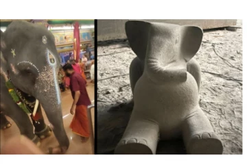 உயிரிழந்த இடத்தில் செல்லமகள் யானை லட்சுமிக்கு நினைவு சிலை...!