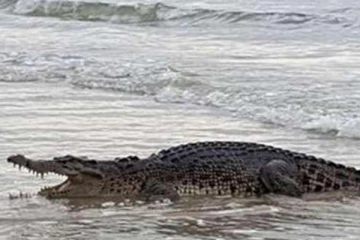 வௌ்ளவத்தை, கல்கிஸை கடற்கரைக்கு செல்வோருக்கு எச்சரிக்கை