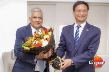 රනිල් වික්‍රමසිංහ සහ ශ්‍රී ලංකාවේ චීන තානාපති අතර හමුවක්