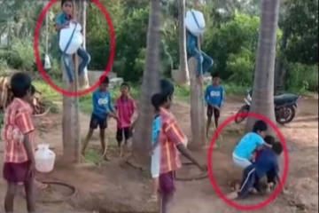 சிறுவர்கள் நடத்திய அசத்தலான ஜல்லிக்கட்டு போட்டி: முதல் பரிசு என்ன தெரியுமா?