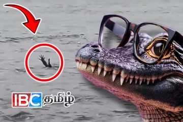 முதலைக்கு உள்ள மூளை! வைரலாகும் காணொளி