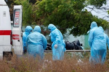 வவுனியாவில் அதிகரிக்கும் கொரோனா மரணங்கள்: கடந்த 24 மணிநேரத்தில் இரண்டு பேர்