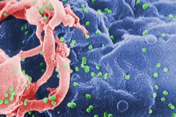 පාසල් සහ සරසවි සිසුන් අතර පැතිරෙන භයානක රෝගයක්..