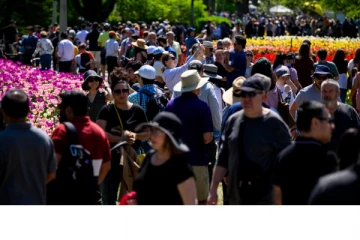 கனடாவை விட்டு வெளியேறும் குடியேறிகள்