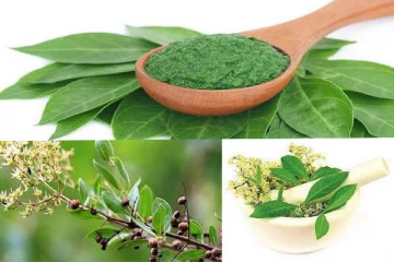 மருதாணியில் இவ்வளவு விஷயம் இருக்கா