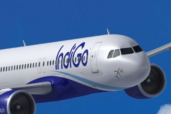 நடுவானில் பறந்துக்கொண்டிருந்த விமானத்தில் ஏற்பட்ட பரபரப்பு | Plane Flying In Mid Air Drug Addict Harrasment