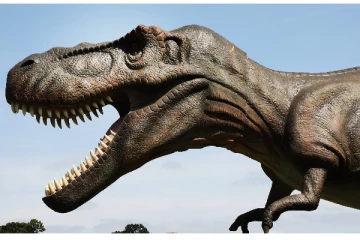 265 மில்லியன் வருஷம் பழமை; டைனோசருக்கு முன்பேவா.. கொடூர விலங்கின் மண்டையோடு கண்டுபிடிப்பு!