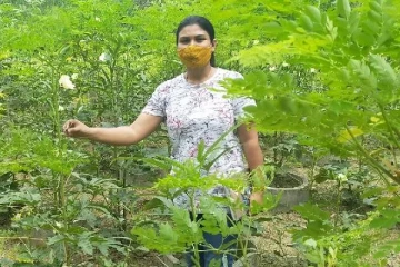 வெறும் முருங்கை பிசினஸ்!! ரூ. 1.75 கோடி சம்பாதிக்கும் பெண் விஞ்ஞானி..