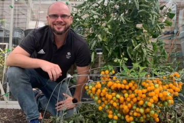 ஒரே செடியில் 839 தக்காளி பழங்கள்! கின்னஸ் உலக சாதனை படைத்த பிரிட்டன் நபர்