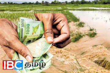 விவசாயிகளுக்கு வெளியான அறிவிப்பு : இந்த மாத இறுதியில் வங்கிகளுக்கு வரப்போகும் பணம்