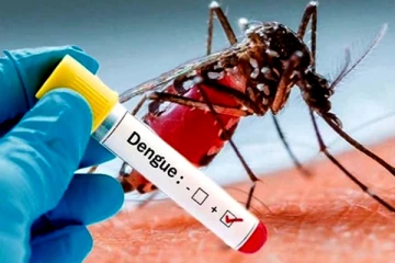 டெங்கு தொடர்பில் பொதுமக்களுக்கு விடுக்கப்பட்டுள்ள எச்சரிக்கை