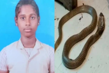 கரண்ட் வசதி இல்லாததால் நிகழ்ந்த துயரம் ; வீட்டில் உறங்கிகொண்டிருந்த சிறுமி பாம்பு கடித்து உயிரிழப்பு!
