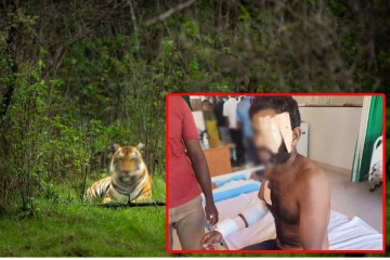 புலி தாக்குதலுக்கு இலக்காகி தொழிலாளி படுகாயம்: ஹட்டன் பகுதியில் சம்பவம்