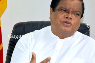 පඬු කරඳ ගස සම්බන්ධයෙන් ඇමති බන්දුලගෙන් ප්‍රකාශයක්.