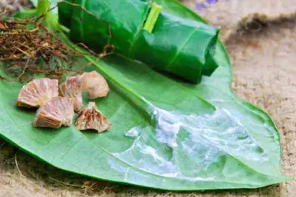 யாழ்ப்பாண மக்களை நெருங்கும் ஆபத்து; விடுக்கப்பட்ட எச்சரிக்கை! | Danger Approaching The People Of Jaffna Warning