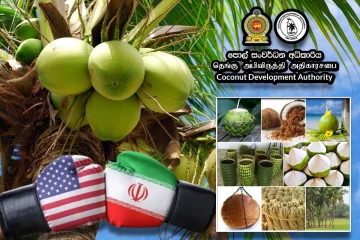 மத்திய கிழக்கு போர் : இலங்கையின் தெங்கு ஏற்றுமதியில் ஏற்பட்டுள்ள சவால்கள்