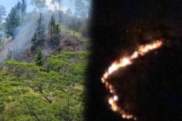 திம்புல்ல- யுலிபீல்ட் வனப்பகுதிக்கு தீ வைப்பு