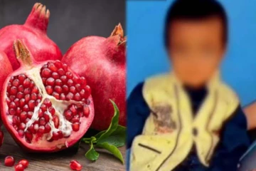 மாதுளம்பழம் சாப்பிட்டு மயங்கிய ஒன்றரை வயது குழந்தை! பரிதாபமாக உயிரிழந்த சோகம்