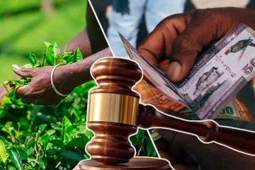 பெருந்தோட்டத் தொழிலாளர்களின் சம்பள விவகாரம்: மனுவை மீளப்பெற்ற நிறுவனங்கள் - நிறைவடைந்துள்ள வழக்கு