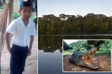 முதலை வாயில் சிக்கிய 8 வயது சிறுவன்: உடலை புரட்டி எடுப்பதை பார்த்த பெற்றோர் கண்ணீர்