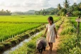 ලෝකයම හොල්ලපු ඉත්තෑ පැටියාගේ වීඩියෝවේ ඇත්තම කතාව මෙන්න