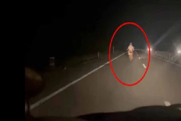 தெற்கு அதிவேக நெடுஞ்சாலையில் திடீரென நுழைந்த மோட்டார் சைக்கிள்