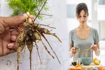 மாதவிடாய் பிரச்சனைகளைத் தீர்க்க உதவும் சில ஆயுர்வேத மூலிகைகள்