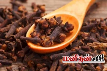 கிராம்பு சாப்பிடும் முன் கவனம்! சிலருக்கு இது விஷம் ஆகலாம்- மருத்துவர் எச்சரிக்கை