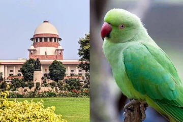 வீட்டில் மர்மமாக இறந்து கிடந்த பெண்: கொலைகாரனின் பெயரை விடாமல் கத்திய கிளி! வெளிவந்த உண்மை