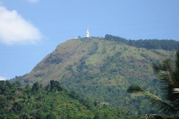 உண்மையை வெளிப்படுத்திய ஊடகவியலாளருக்கு பொலிஸ் அழைப்பாணை | Police Summons Journalist For Revealing True News