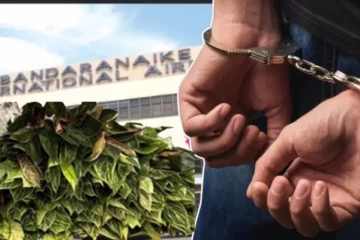 இந்தியாவிலிருந்து வந்த தொழிலதிபர் கட்டுநாயக்காவில் கைது