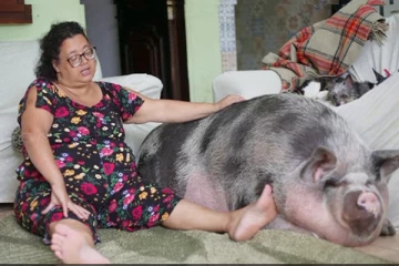 விட மனசு வரல...தெரியாம வாங்கிட்டேன்! சமாளிக்கவே முடியல