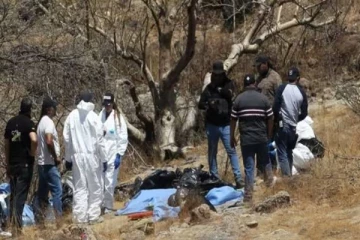 பள்ளத்தாக்கில் மனித உடல் உறுப்புகளுடன் கண்டுபிடிக்கப்பட்ட 45 பைகள்! அதிர்ச்சி சம்பவம்