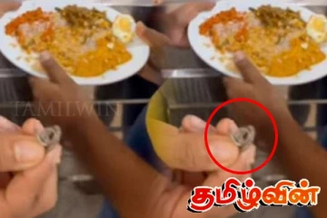 கொழும்பில் பிரபல உணவகத்தின் சாப்பாட்டில் பாம்புக்குட்டி! சர்ச்சையை ஏற்படுத்தியுள்ள காணொளி