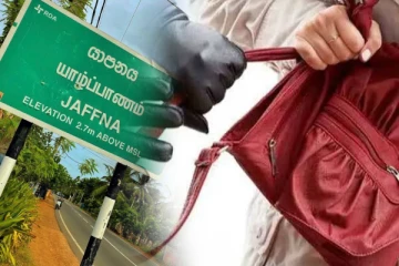 யாழில் புலம்பெயர் தமிழருக்கு காத்திருந்த அதிர்ச்சி; விசாரணையில் திடுக்கிடும் தகவல்!
