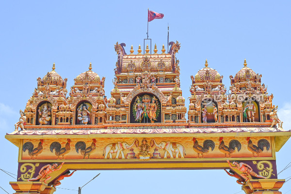 நல்லூர் வரவேற்பு வளைவில் சேவல் கொடி கட்டும் நிகழ்வு (Photos) | Historic Nallur Kandaswamy Annual Festival