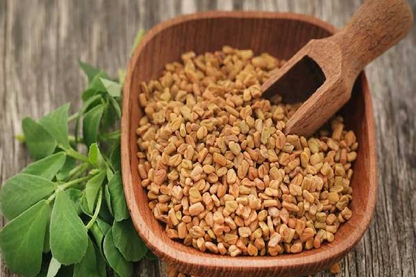 முடி உதிர்வு பிரச்சனையா? தேங்காய் எண்ணெயுடன் இந்த பொருட்களை கலந்து பயன்படுத்துங்கள் | Hair Loss Problem Mix Ingredients Coconut Oil