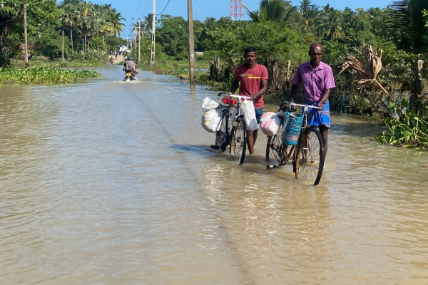உணவு பாதுகாப்பு தொடர்பில் இலங்கைக்கு உடனடி எச்சரிக்கை | Lanka Receives Urgent Warning Regarding Foodsafety
