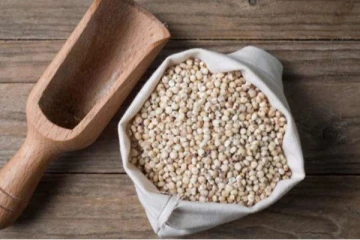 சோளம் ஏன் கண்டிப்பாக சாப்பிட வேண்டும்? இதிலுள்ள நன்மைகள் என்னென்ன?