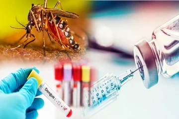 திடீரென அதிகரித்த டெங்கு நோயாளர்கள்: கட்டுப்பாட்டு பிரிவு விடுத்துள்ள எச்சரிக்கை