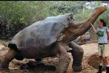 உலகில் அதிக ஆண்டு வாழும் சக்தி படைத்த உயிரினம் எது தெரியுமா?