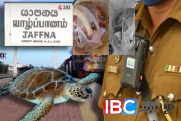 யாழ்ப்பாணத்தில் ஆமை இறைச்சியுடன் ஒருவர் கைது