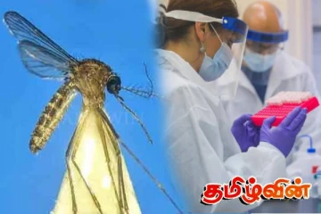 இலங்கையில் கண்டுபிடிக்கப்பட்ட அரியவகை நுளம்பினம்