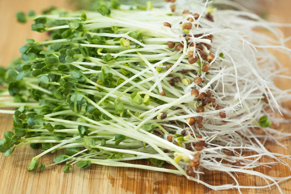 புற்றுநோயிலிருந்து உடலை பாதுகாக்க உதவும் 5 உணவுகள்.., என்னென்ன தெரியுமா? | 5 Foods That Help To Fight Cancer In Tamil