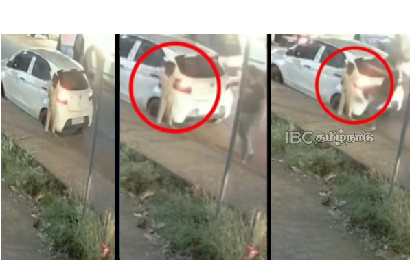 kerala-six-year-old-boy-attack-viral-video kerala-six-year-old-boy-attack-viral-video