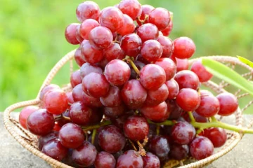 எடை இழப்புக்கு உதவும் சிவப்பு திராட்சை